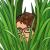 mwin_chebio